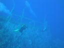DSC00629.JPG