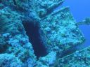 DSC00645.JPG