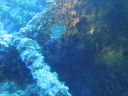 DSC00646.JPG