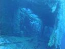 DSC00658.JPG