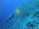 DSC00672.JPG