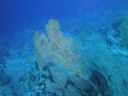 DSC00675.JPG