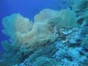 DSC00677.JPG