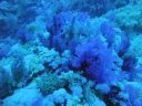 DSC00683.JPG