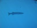 DSC00686.JPG