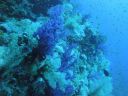 DSC00688.JPG