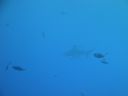 DSC00689.JPG