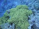DSC00690.JPG