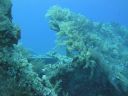 DSC00694.JPG