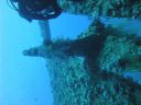 DSC00718.JPG