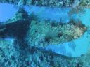 DSC00719.JPG