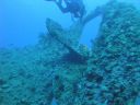 DSC00720.JPG