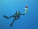 DSC00729.JPG