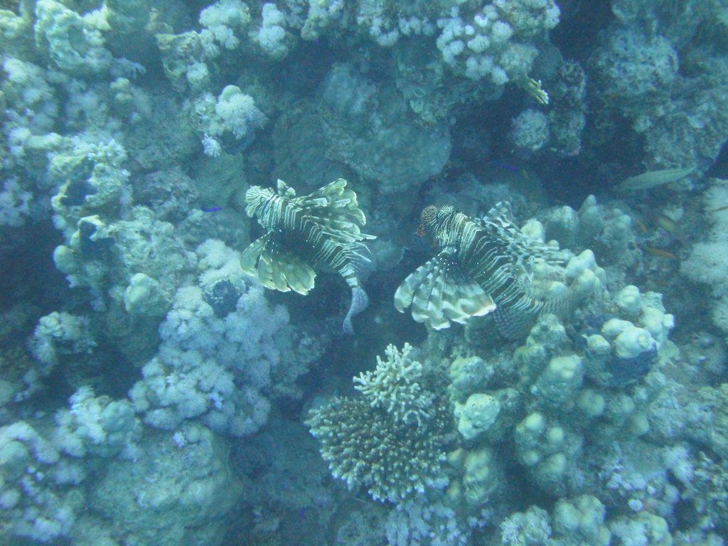 DSC00016.JPG