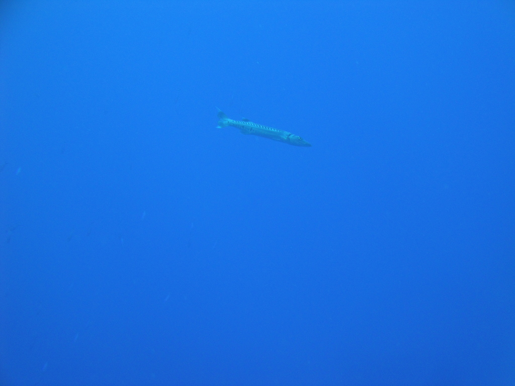 DSC00025.JPG