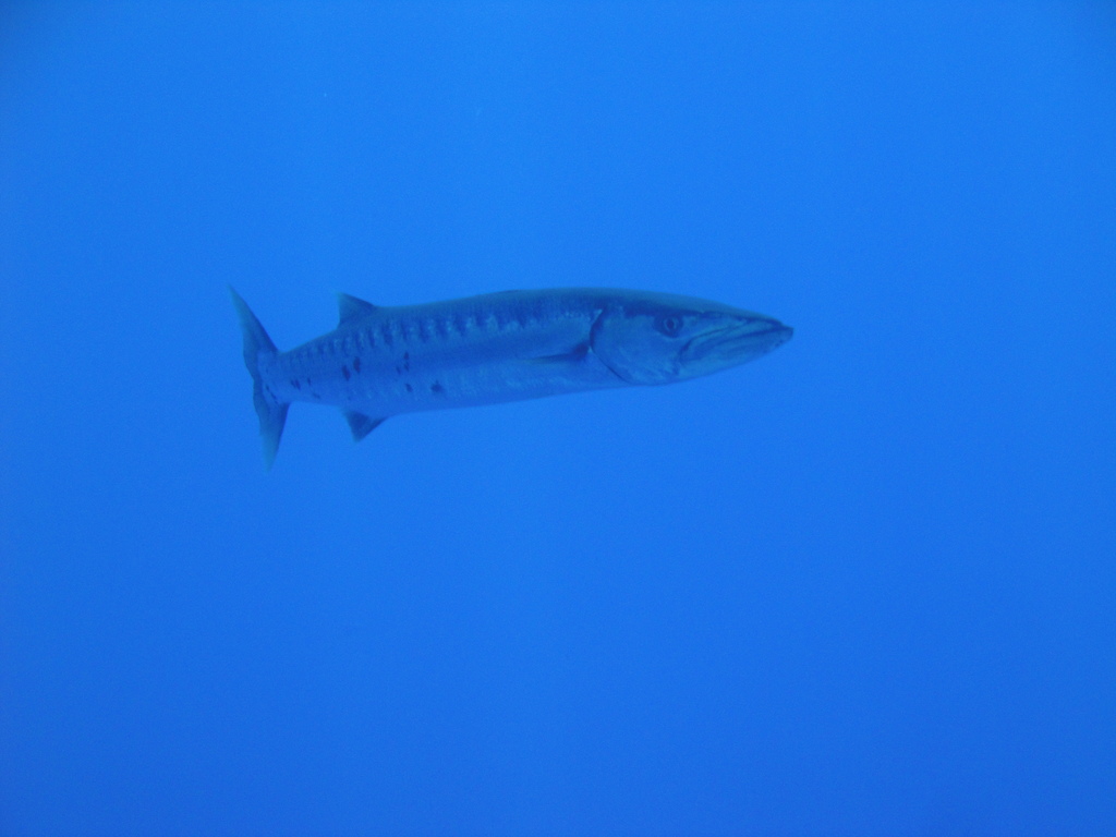 DSC00026.JPG