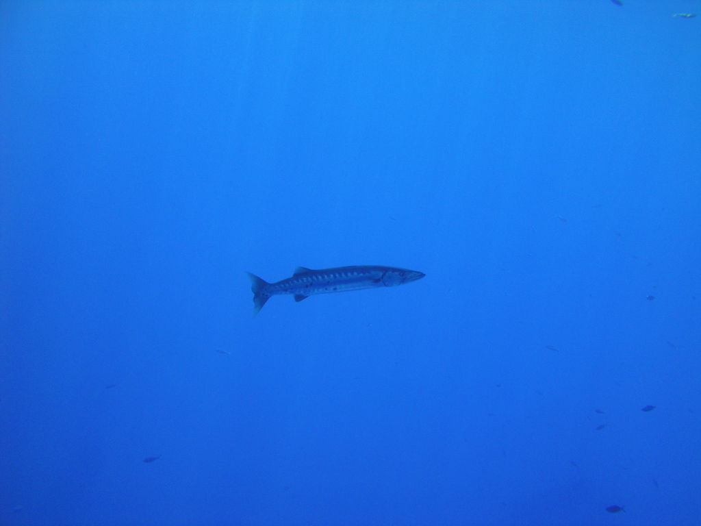 DSC00027.JPG