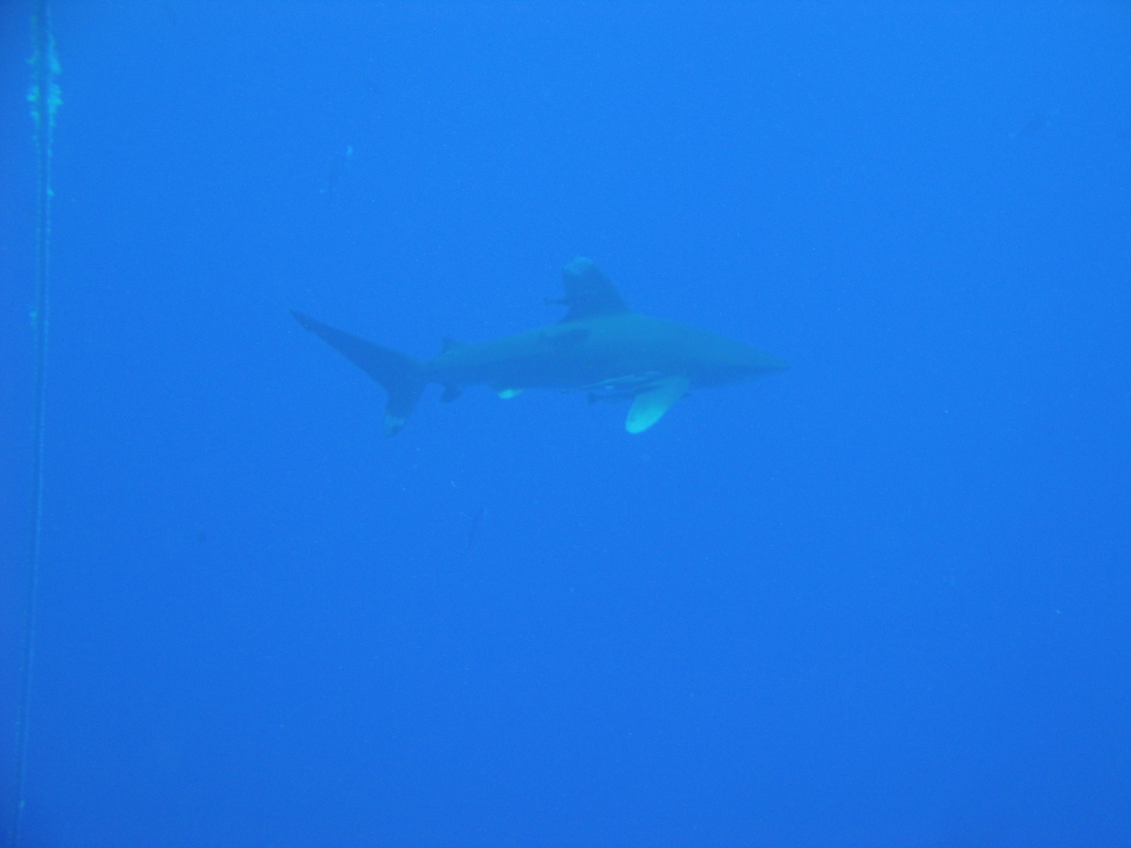 DSC00030.JPG