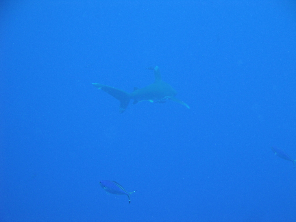 DSC00031.JPG