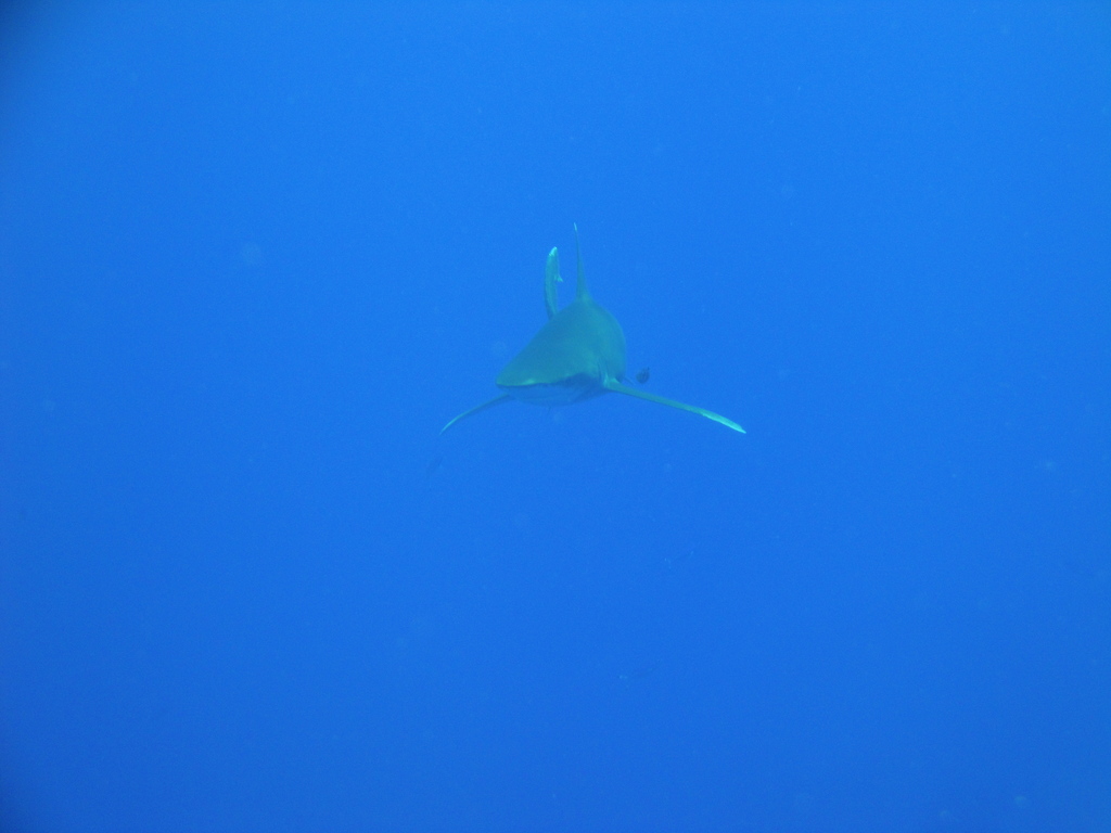 DSC00035.JPG