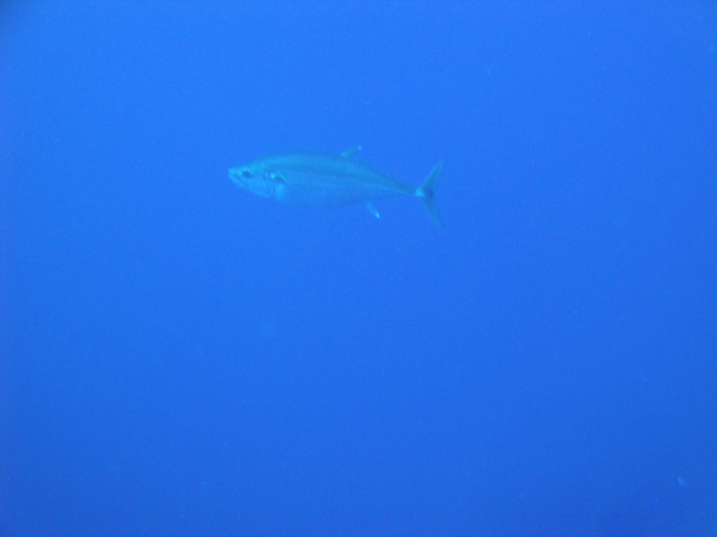 DSC00042.JPG