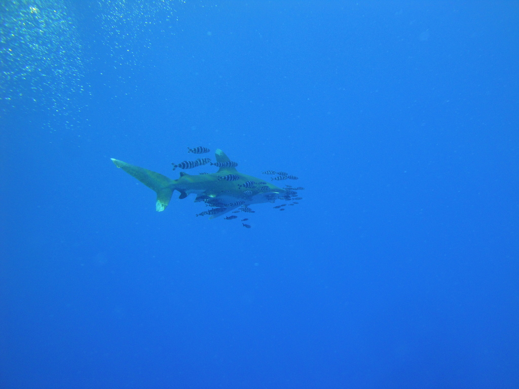 DSC00064.JPG