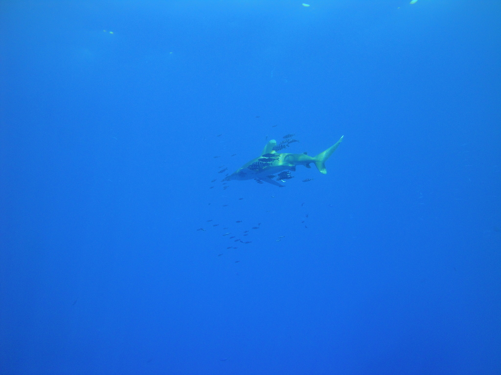 DSC00067.JPG