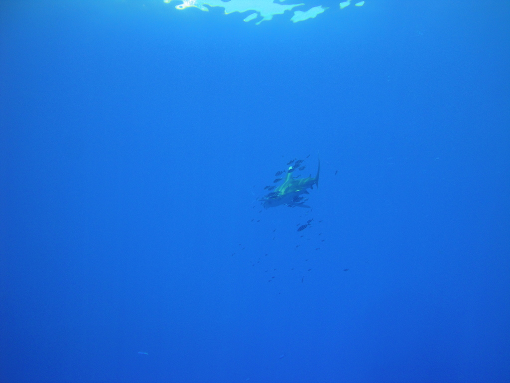 DSC00068.JPG