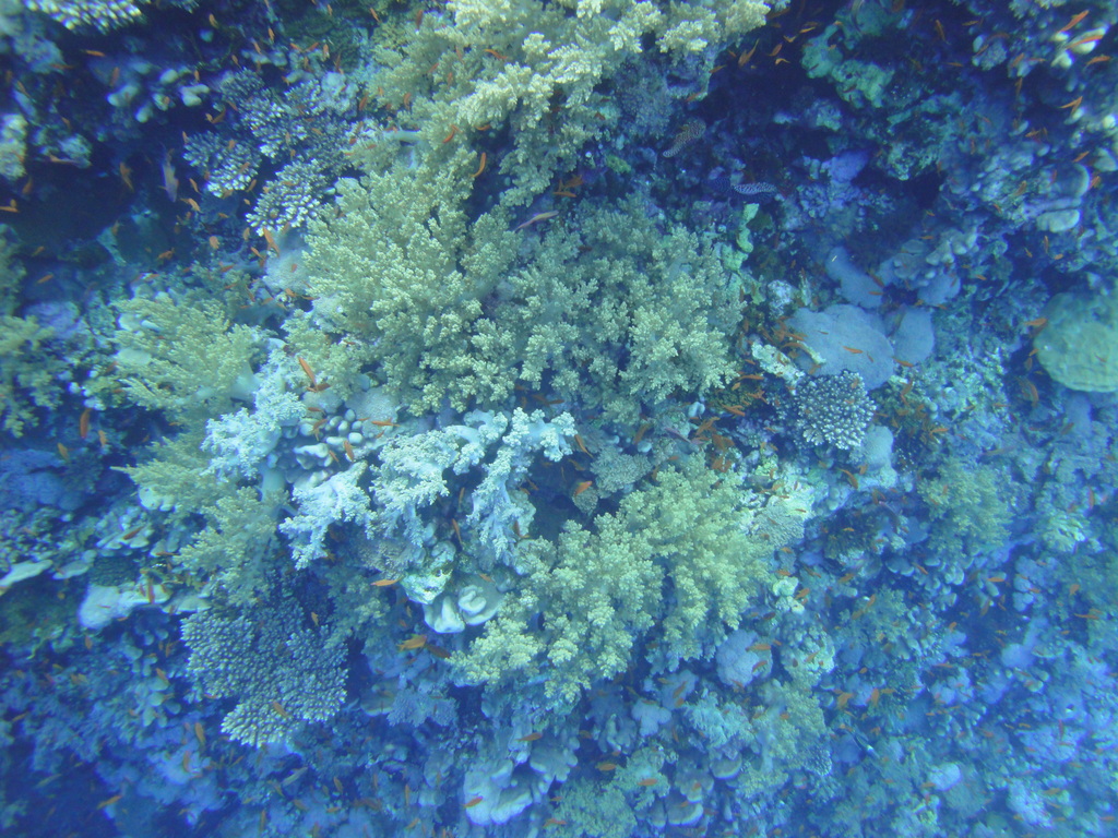 DSC00078.JPG