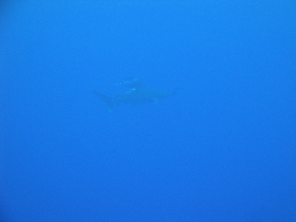DSC00080.JPG