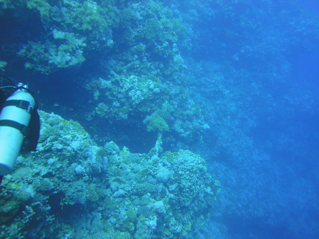 DSC00115.JPG