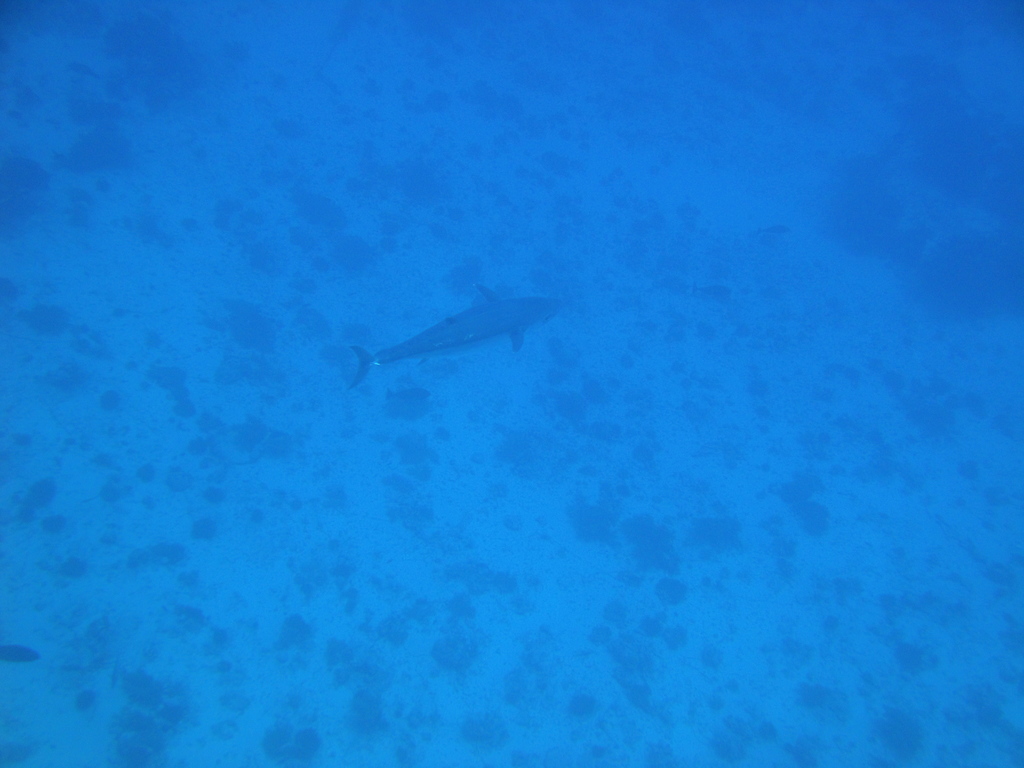 DSC00132.JPG