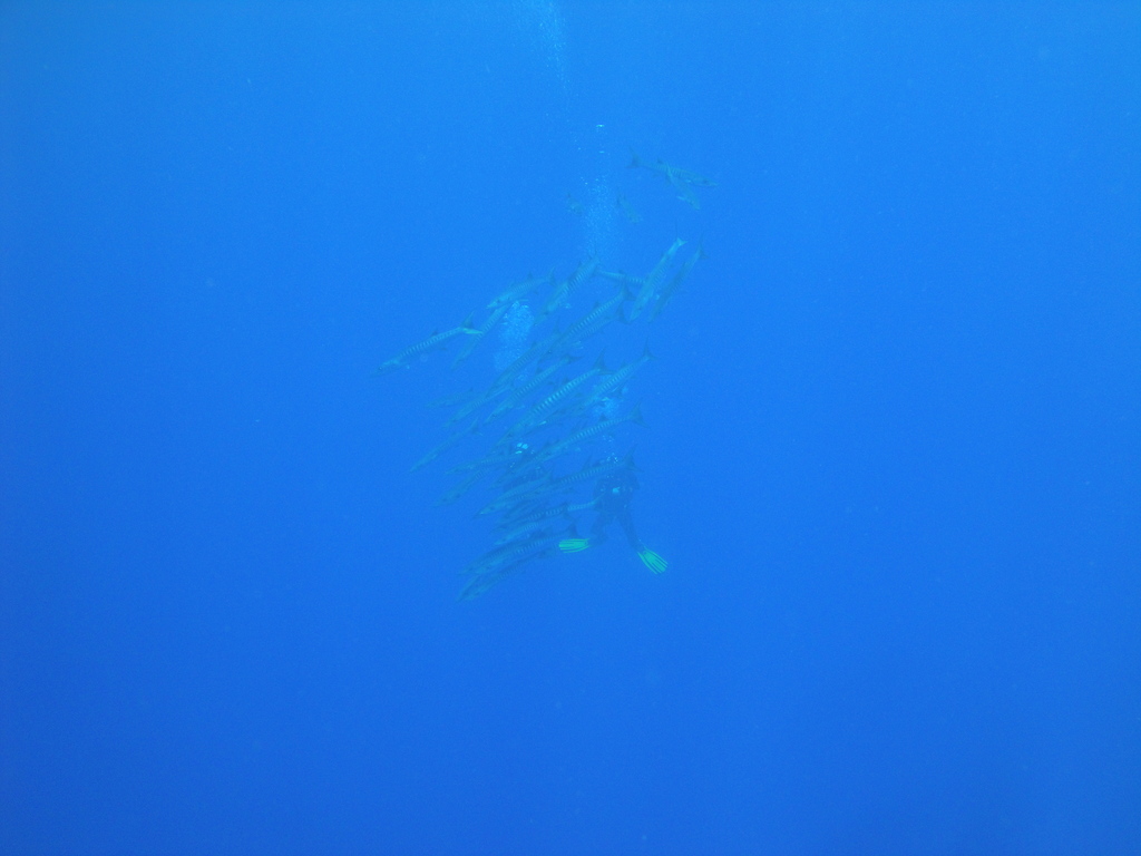 DSC00133.JPG