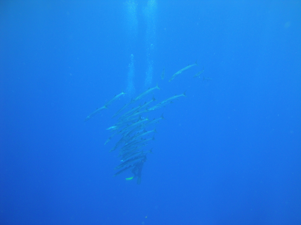 DSC00134.JPG
