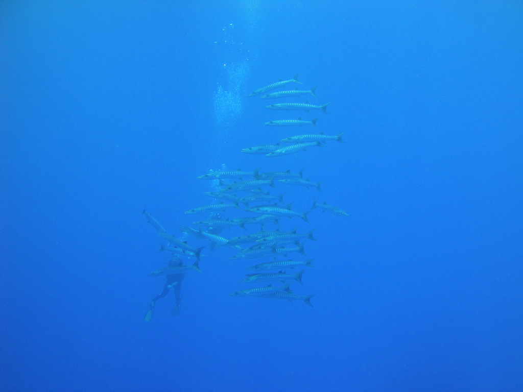 DSC00138.JPG