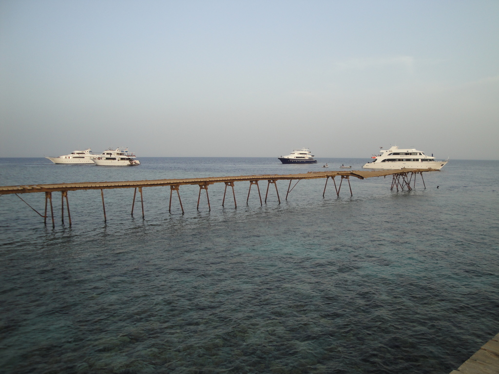 DSC00157.JPG