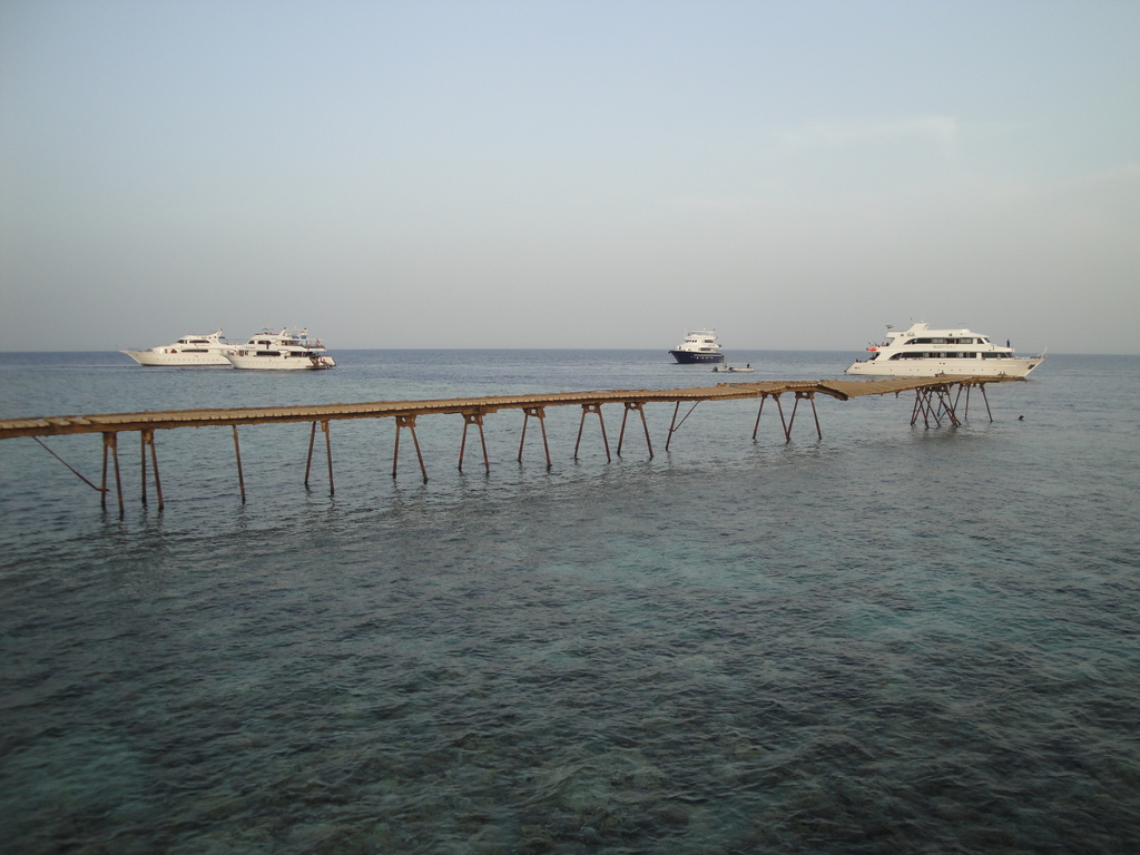 DSC00158.JPG