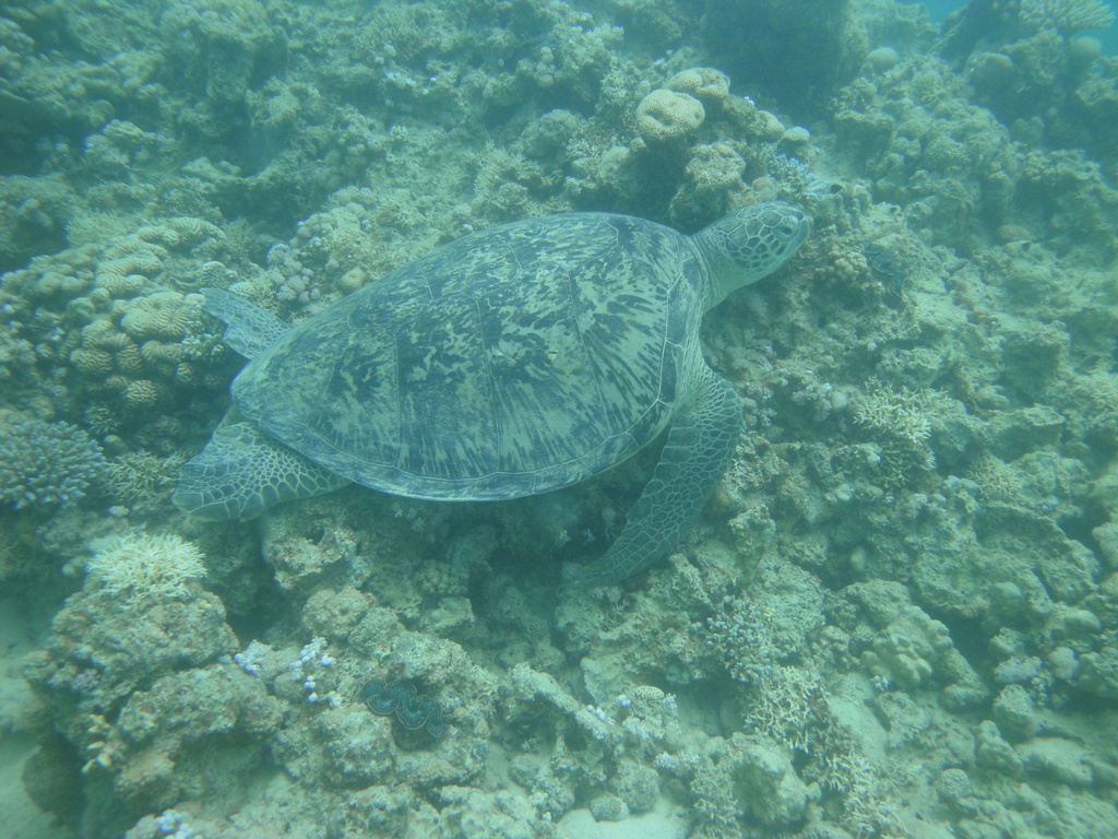 DSC00212.JPG