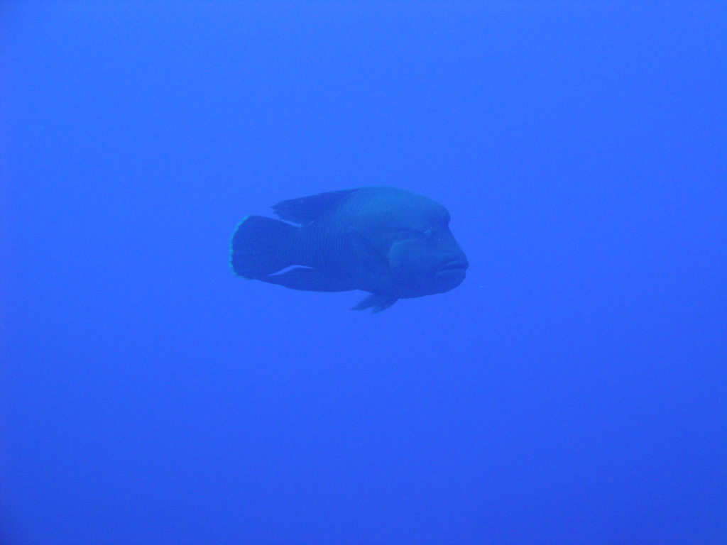 DSC00244.JPG