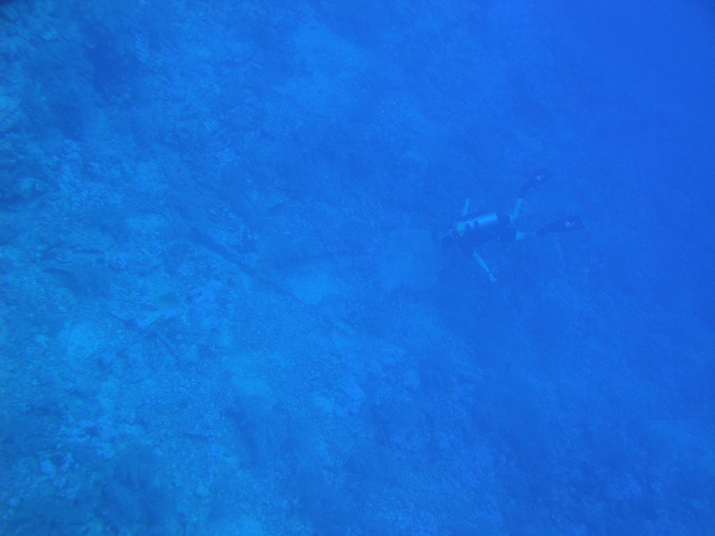DSC00288.JPG