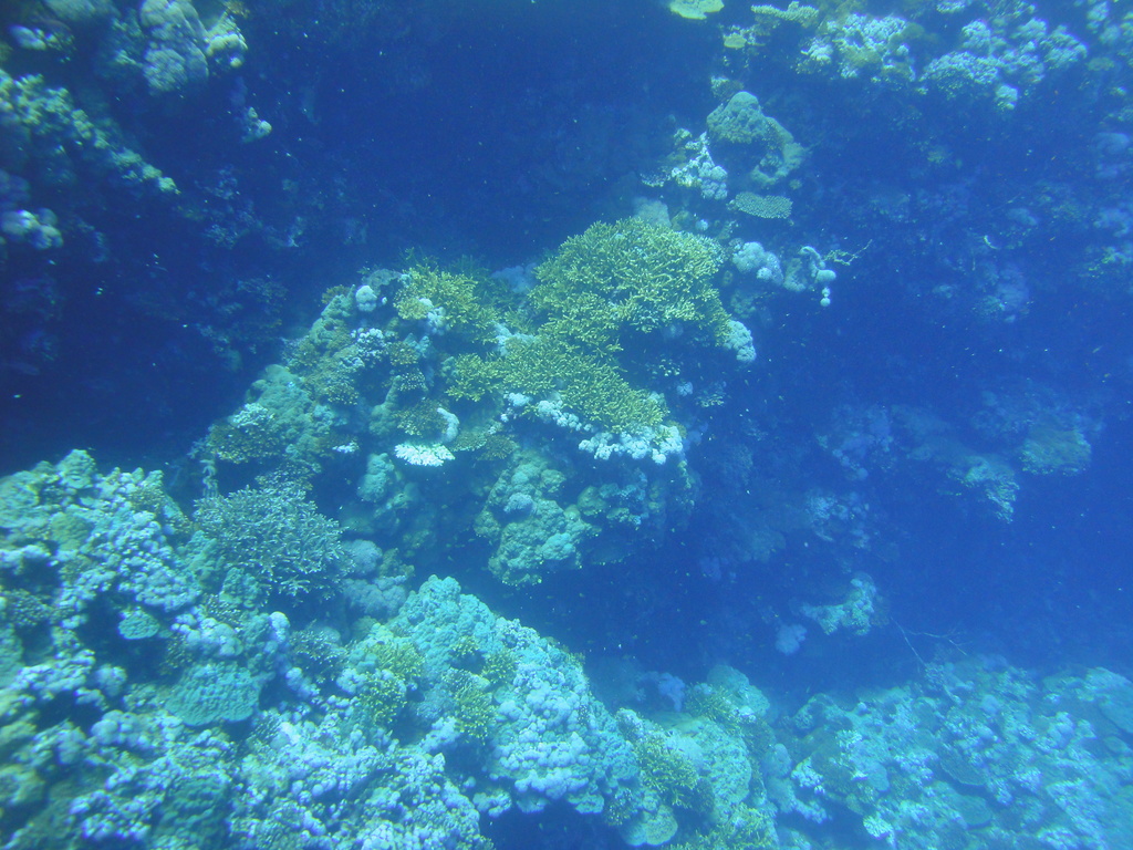 DSC00295.JPG