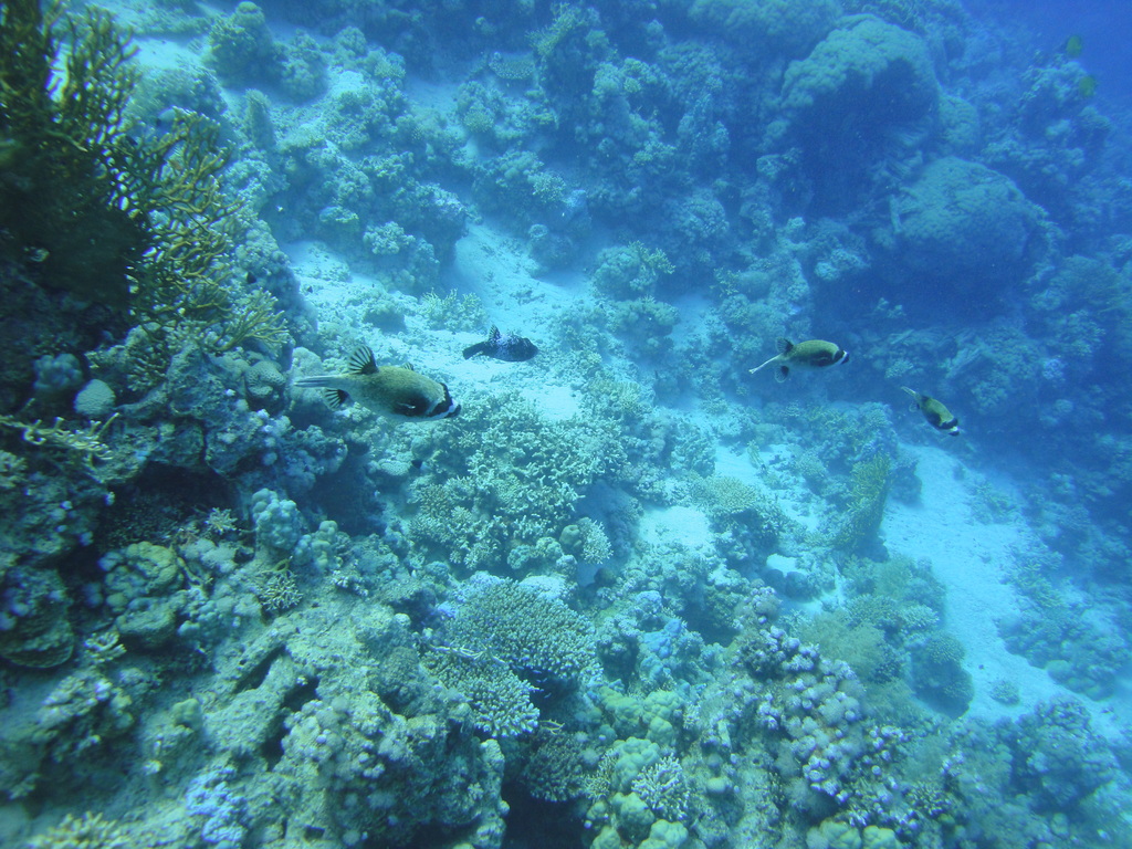 DSC00360.JPG