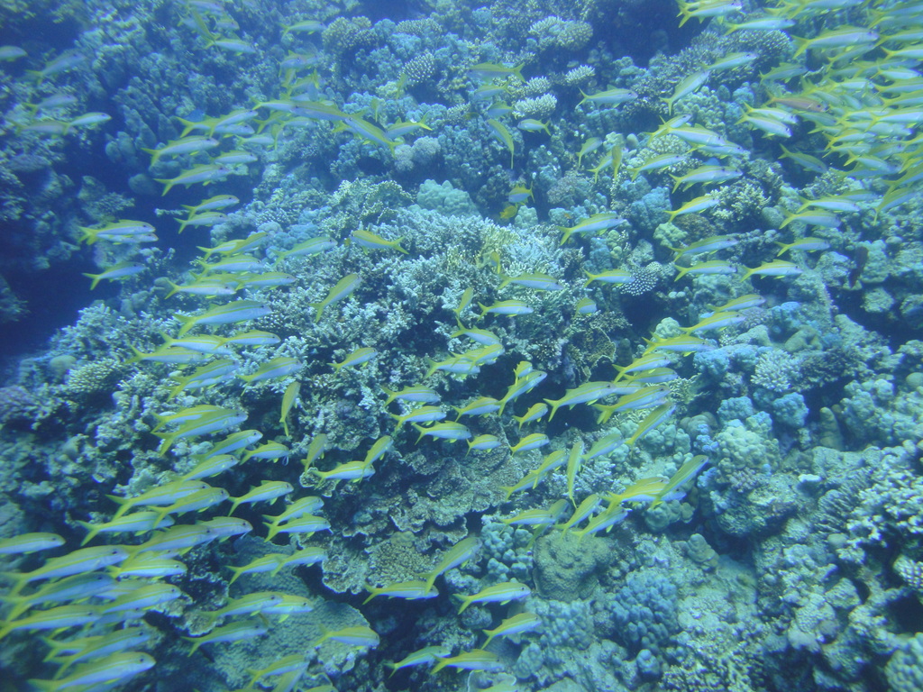 DSC00372.JPG