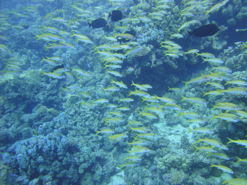 DSC00373.JPG