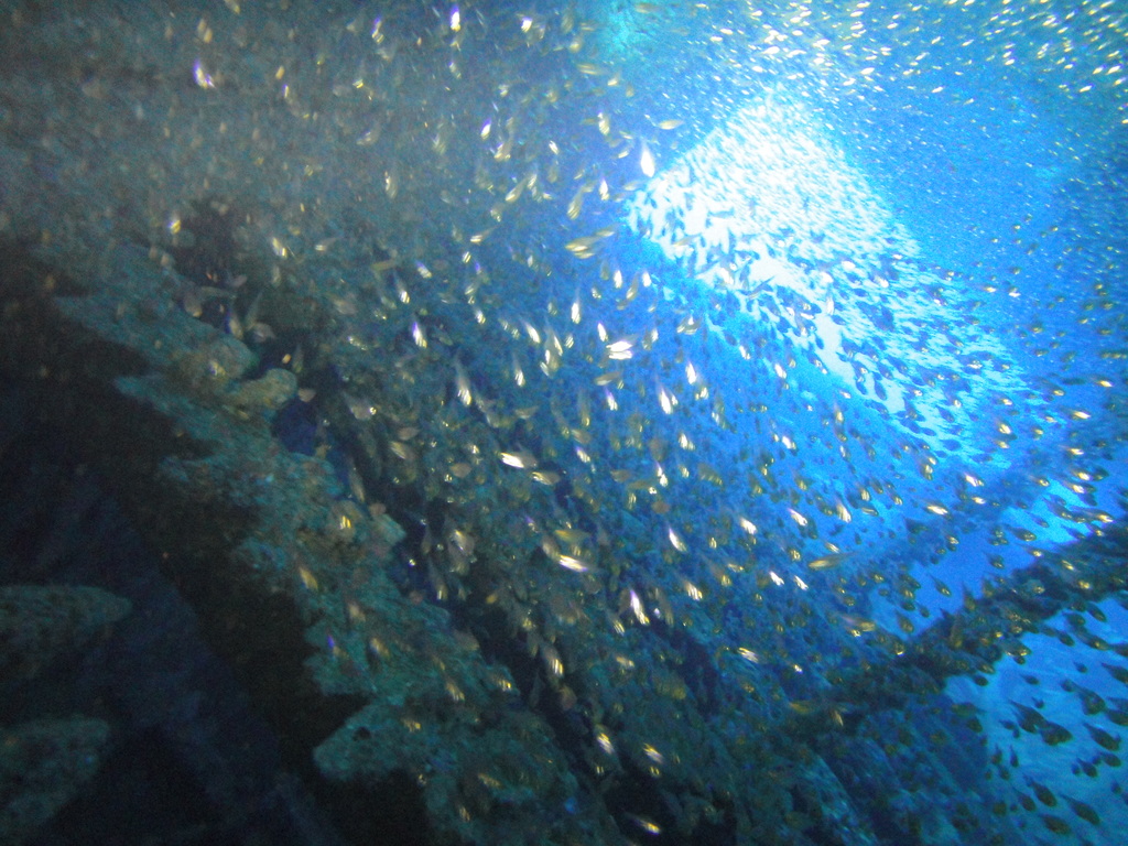DSC00404.JPG
