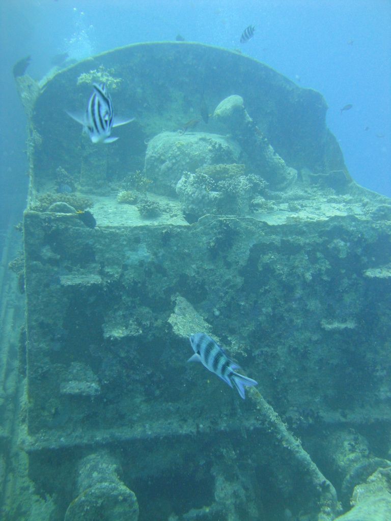 DSC00492.JPG