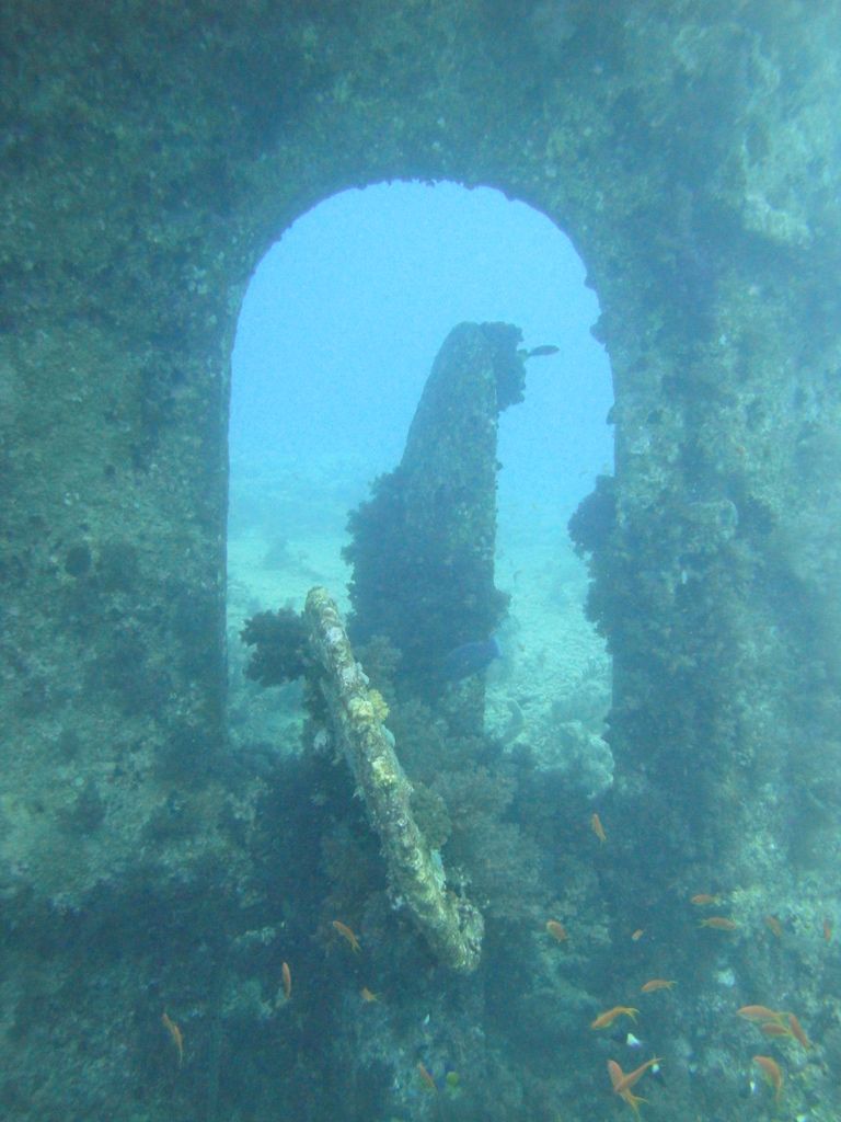 DSC00505.JPG