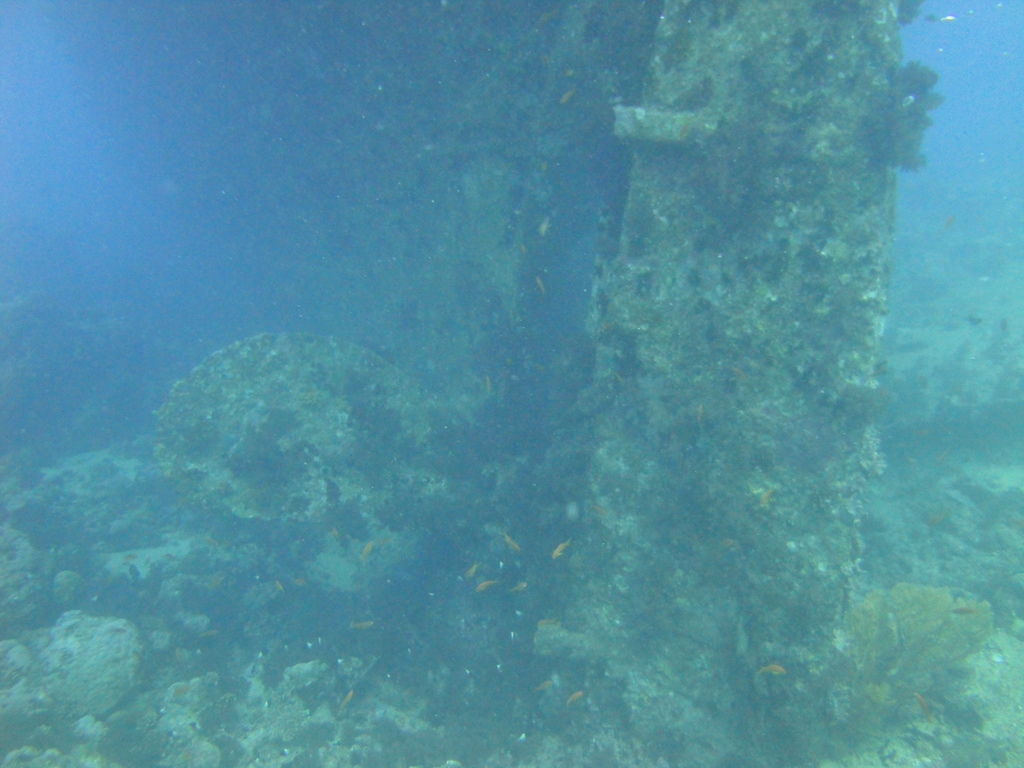 DSC00507.JPG
