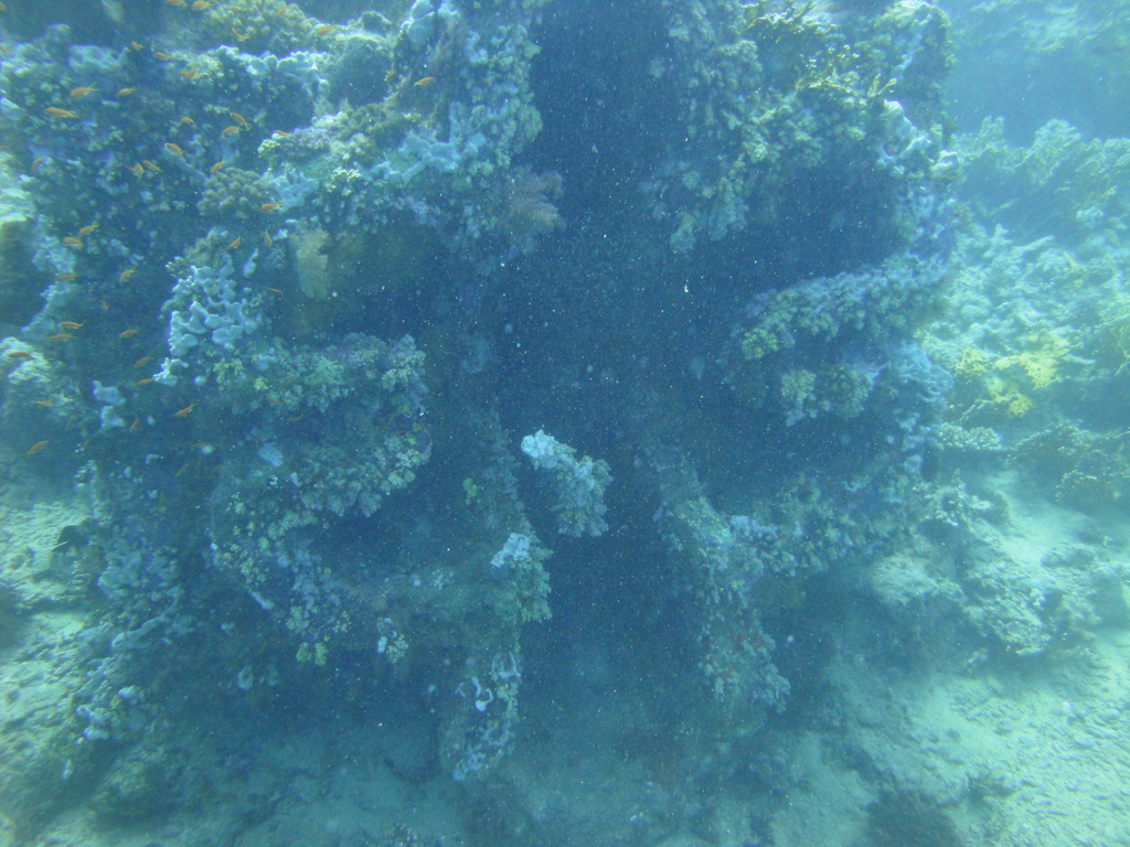 DSC00566.JPG