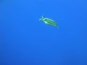 DSC00039.JPG